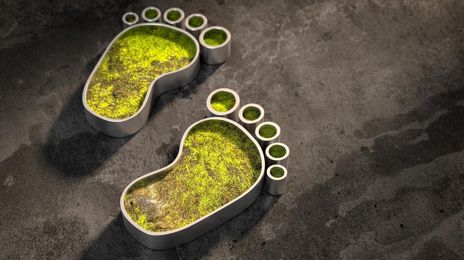 CO2 Fussabdruck im Unternehmen
