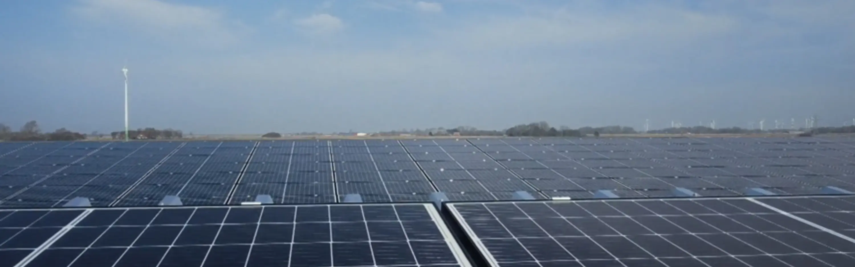 Über 15.000 zufriedene Kunden