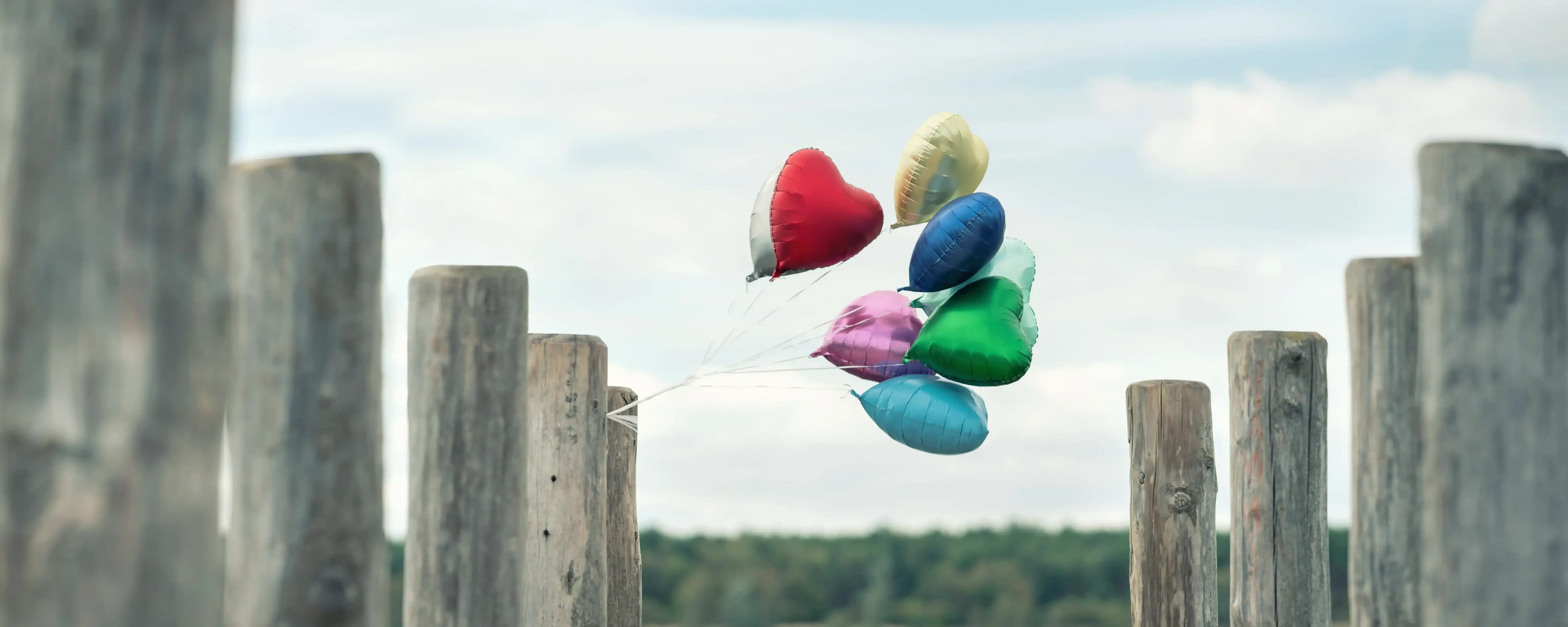 meistro Rückholaktion