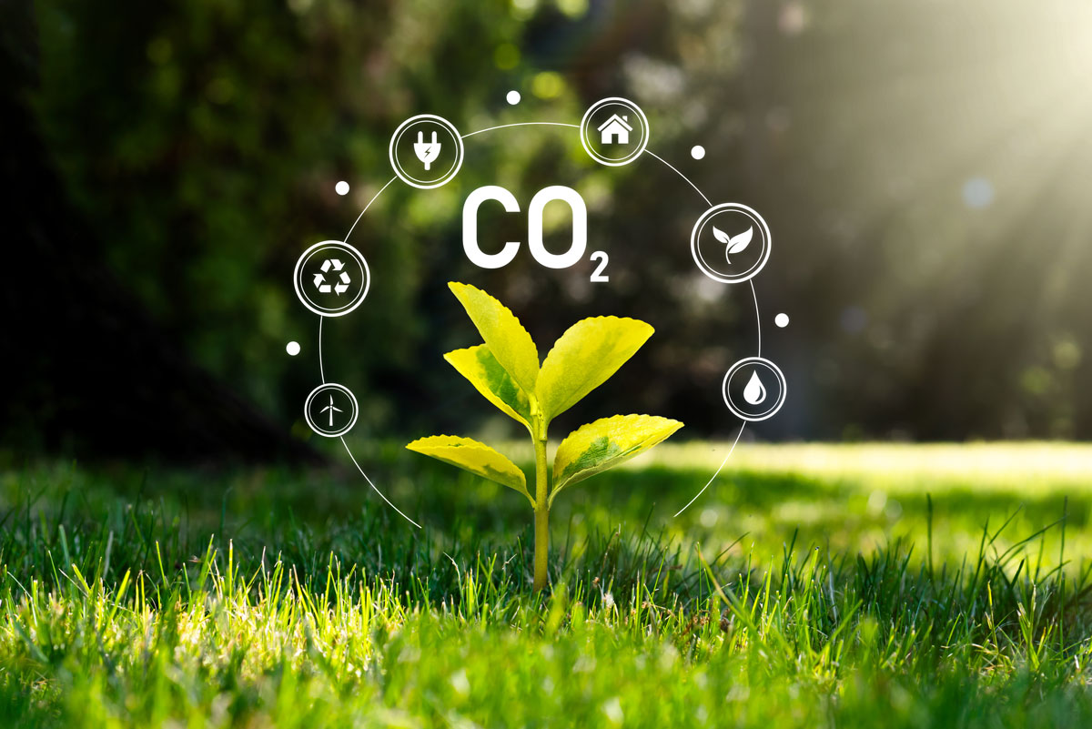 Greenwashing